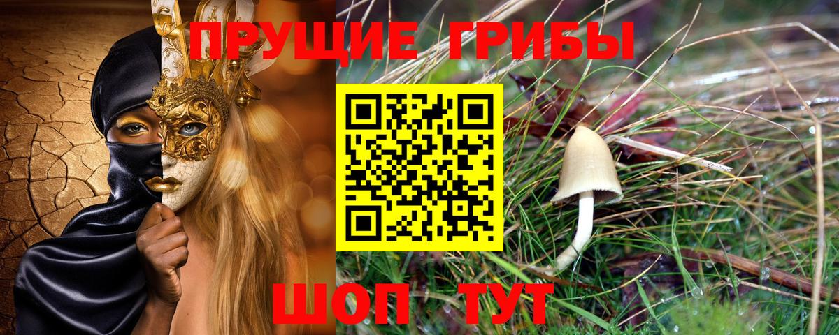 Сунжа  Псилоцибиновые грибы GOLDEN TEACHER  Вход с VPN  Галлюциногенные грибы мицелий 